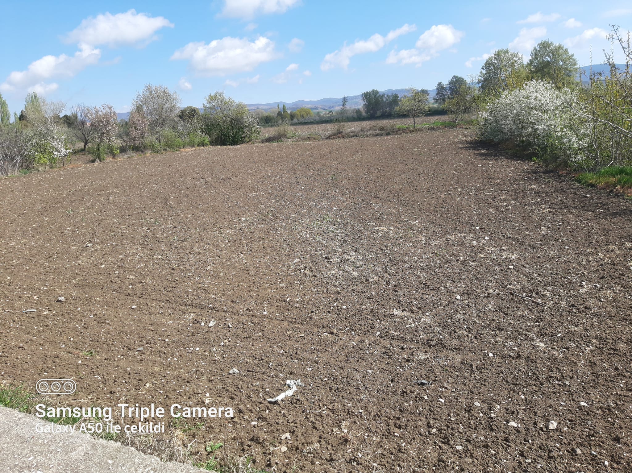 MABEL'DEN ANA  YOL KENARINDA SATILIK FIRSAT TARLA